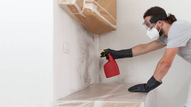 Professional Crawl Space Mold Remediation technician working in Mine Hill, NJ