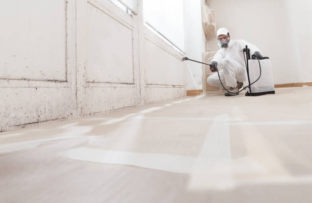 24/7 Emergency Crawl Space Mold Remediation experts in Mine Hill, NJ